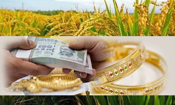 നാലു ശതമാനം പലിശയ്‌ക്കു സ്വര്‍ണപ്പണയ കാര്‍ഷിക വായ്‌പ: കര്‍ഷകരല്ലാത്തവരില്‍നിന്ന് ബാങ്കുകള്‍ അധികപ്പലിശ വാങ്ങിത്തുടങ്ങി, 3,600  കോടി വാങ്ങിയതു കര്‍ഷകരെല്ലന്നു കണ്ടെത്തല്‍ 