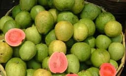 പേരയ്ക്ക വാങ്ങി കൊടുത്തില്ല ; ആറാം ക്ലാസുകാരനെ സഹപാഠികള്‍ ചേര്‍ന്ന് മര്‍ദ്ദിച്ച് കൊന്നു 