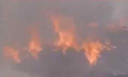 തൃശൂരില്‍ കാട്ടുതീയില്‍ അകപ്പെട്ട് വനപാലകര്‍ മരിച്ചു ; ഒരാള്‍ ഗുരുതരാവസ്ഥയില്‍ 