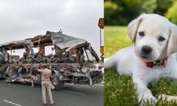 അവിനാശി ബസ് അപകടത്തില്‍ പൊലിഞ്ഞത് 19 മനുഷ്യ ജീവനുകള്‍ മാത്രമല്ല! ഇവരുടെ ജീവനും കൂടി