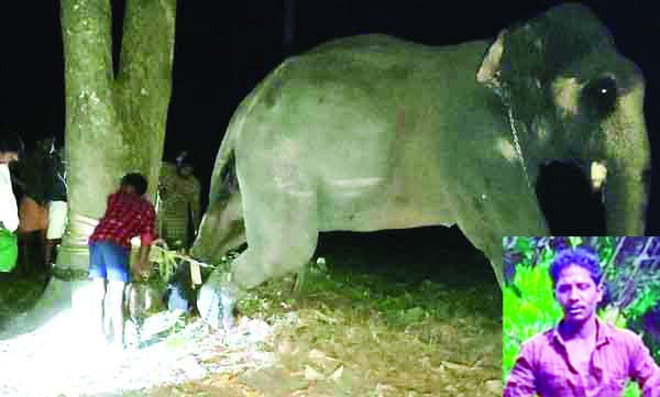 ബൈക്കിലെത്തിയ യുവാക്കള്‍ ഹോണ്‍ മുഴക്കി,  ഇടഞ്ഞ ആന ഒന്നാം പാപ്പാനെ ഞെരിച്ചുകൊന്നു; ക്ഷേത്രത്തിന്റെ കല്‍വിളക്കും ഗേറ്റും ആനക്കൊട്ടിലും അടിച്ചു തകര്‍ത്തു, രണ്ടാം പാപ്പാന്‍ ആനപ്പുറത്തു കുടുങ്ങിയത്‌ അഞ്ചു മണിക്കൂര്‍