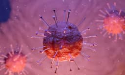 കൊറോണ; മതിയായ ശ്രദ്ധയില്ലെങ്കില്‍ വരാനിരിക്കുന്നത് ദുഷ്‌കരമായ നാളുകള്‍; അമേരിക്കയില്‍ 22ലക്ഷം പേര്‍ മരിക്കുമെന്ന് പഠനറിപ്പോര്‍ട്ട് 