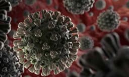 കുടകില്‍ നിരോധനാജ്ഞ: ജോലിയ്ക്ക് പോകരുത്, വയനാട് അതിര്‍ത്തിയില്‍ ജാഗ്രത