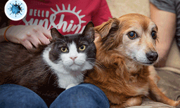 പക്ഷിമൃഗാദികള്‍ക്ക് രോഗം വന്നാല്‍....; കൊറോണ ഭീതിയില്‍ മൃഗസംരക്ഷണ മേഖലയിലും പ്രത്യേക മാര്‍ഗ്ഗനിര്‍ദേശങ്ങള്‍