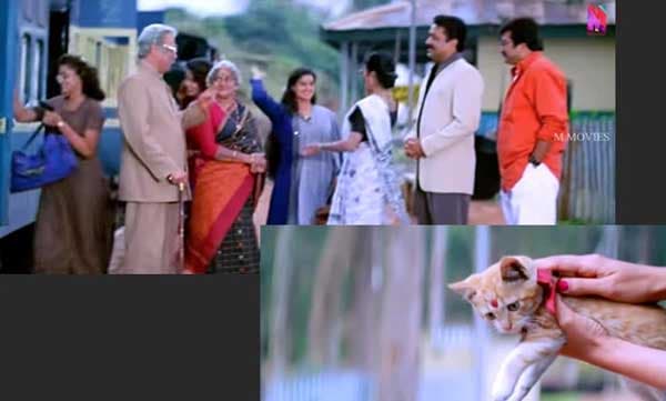 'ലോക്ഡൗണ്‍ കണ്ടെത്തല്‍', സമ്മര്‍ ഇന്‍ ബത്‌ലഹേമിലെ പൂച്ചയും കോവിഡ് 19ഉം; വൈറലായി കുറിപ്പ്