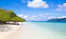 ആന്‍ഡമാനില്‍ ആദ്യ കോവിഡ് ബാധ സ്ഥിരീകരിച്ചു: രോഗ ബാധ കൊല്‍ക്കത്തയില്‍ നിന്നും തിരിച്ചെത്തിയ ആള്‍ക്ക് 
