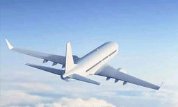 പതിനാലാം തിയതി മുതലുള്ള വിമാന ടിക്കറ്റ് ബുക്കിങ്ങ് പുനരാരംഭിച്ചു: ലോക്ക്ഡൗണ്‍ നീണ്ടാല്‍ പണം നഷ്ടമാകും