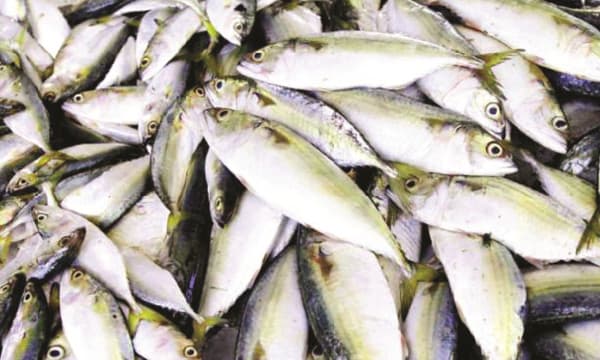 ഒരാഴ്ചയ്ക്കിടെ പിടികൂടിയത് ചീഞ്ഞളിഞ്ഞ 65,000 കിലോ മത്സ്യം ; നോണ്‍ വെജിറ്റേറിയനില്ലാതെ എന്ത് ഈസ്റ്ററാഘോഷമെന്നു പറയുന്ന മലയാളിക്ക്  ഇക്കുറി മീനില്ലാത്ത ഈസ്റ്റര്‍; ബീഫും ദുര്‍ലഭം