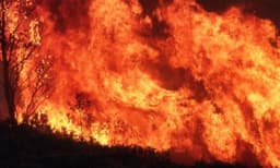 എം.എല്‍.എയ്‌ക്കെതിരേ പരാതി നല്‍കിയ സ്ത്രീയുടെ എസ്‌റ്റേറ്റില്‍ തീപിടിത്തം; രണ്ടു കോടി രൂപയുടെ നഷ്ടം, കാട്ടുതീ അല്ലെന്നും കത്തിച്ചതാണെന്നും പരാതി 