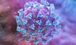 വ്യത്യസ്ത മതക്കാരായ കോവിഡ് രോഗികള്‍ക്ക് വെവ്വെറെ വാര്‍ഡ് എന്നത് വ്യാജപ്രചരണം ; വിശദീകരണവുമായി ഗുജറാത്ത് സര്‍ക്കാര്‍