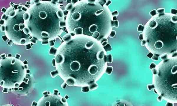 ലോക്ക് ഡൗണ്‍ ലംഘിച്ച അമ്മയെ മകന്‍ വീട്ടില്‍ കയറ്റിയില്ല ; ബന്ധുവീട്ടിലേക്ക് തിരിച്ചയച്ചു 