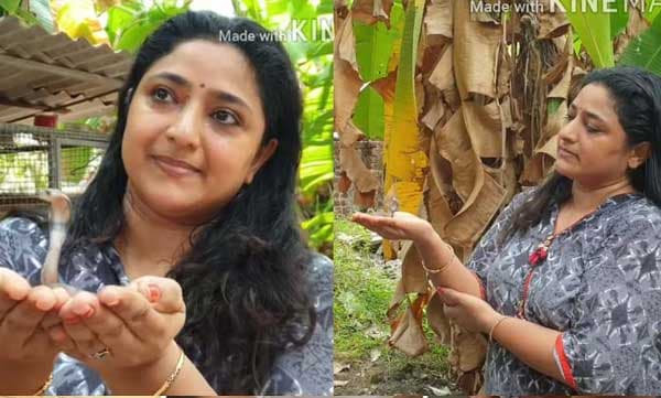 വീട്ടിലെത്തിയ കുഞ്ഞന്‍ അതിഥിയെ പരിചയപ്പെടുത്തി പ്രവീണ, മൂര്‍ഖന്‍ കുഞ്ഞിനെ കയ്യിലെടുത്ത് നടി