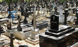 കല്ലറ കുത്തിപ്പൊളിച്ച് തലയോട്ടിയും എല്ലിന്‍ കഷണങ്ങളും മോഷ്ടിച്ചു