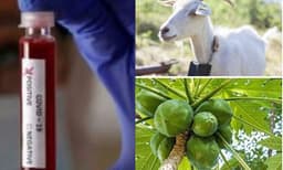 ആടിനും പപ്പായയ്ക്കും വരെ കോവിഡെന്ന് റിസള്‍ട്ട്; ടെസ്റ്റ് കിറ്റ് റദ്ദാക്കി ഈ രാജ്യം