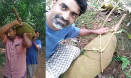ഇത് എന്റെയല്ല, പൂര്‍വ്വികരുടെ 'വക'.. ഭീമന്‍ ചക്ക കണ്ടത് താഴെയുള്ളതെല്ലാം തീര്‍ന്നുകഴിഞ്ഞ്, കയറുകെട്ടി ഇറങ്ങിയത് 'റെക്കോര്‍ഡിലേക്കും' ! ജോണ്‍ കുട്ടി പറയുന്നു