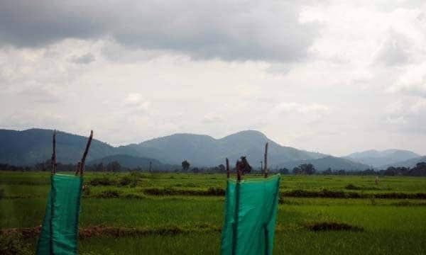 കരഞ്ഞുകൊണ്ടിരുന്നിട്ടു കാര്യമില്ലല്ലോ.. ; പോലീസുകാരന് ഭര്ത്താവിനെ മാവോയിസ്റ്റുകള് തട്ടിക്കൊണ്ടുപോയി ; കല്ലുംമുള്ളും ചവിട്ടി നാലു ദിവസം കാട്ടിലൂടെ നടന്ന് സങ്കേതത്തിലെത്തി ഭാര്യ മോചിപ്പിച്ചു...!!