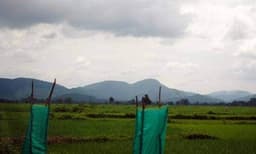 കരഞ്ഞുകൊണ്ടിരുന്നിട്ടു കാര്യമില്ലല്ലോ.. ; പോലീസുകാരന്‍ ഭര്‍ത്താവിനെ മാവോയിസ്റ്റുകള്‍ തട്ടിക്കൊണ്ടുപോയി ; കല്ലുംമുള്ളും ചവിട്ടി നാലു ദിവസം കാട്ടിലൂടെ നടന്ന് സങ്കേതത്തിലെത്തി ഭാര്യ മോചിപ്പിച്ചു...!! 