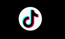 ടിക്‌ടോകില്‍ വീഡിയോ ചിത്രീകരിക്കാന്‍ തീവണ്ടിക്ക് മുകളില്‍ കയറി; വൈദ്യുതാഘാതമേറ്റ യുവാവ് തെറിച്ചുവീണു
