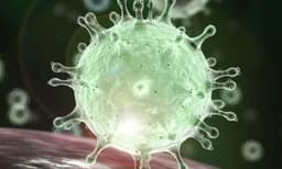 കൊല്ലത്ത് ആരോഗ്യപ്രവര്‍ത്തകയ്ക്ക് കൊവിഡ് സ്ഥിരീകരിച്ചു