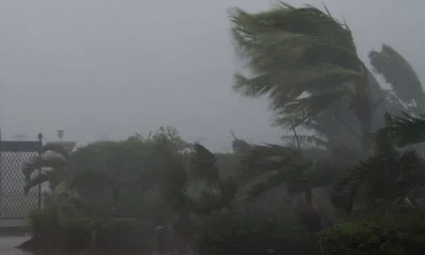 തെക്കന്‍ കേരളത്തില്‍ മഴകനക്കുന്നു; നദികള്‍ കവിഞ്ഞു...അരുവിക്കര ഡാമിന്റെ അഞ്ച് ഷട്ടറുകള്‍​ തുറന്നു