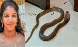 പാമ്പിനെക്കുറിച്ചുള്ള വീഡിയോ യൂഡ്യൂബില്‍ അപ്‌ലോഡ് ചെയ്യാനാണെന്ന് വിശ്വസിപ്പിച്ചു: മൂര്‍ഖനെ വാങ്ങിയത് 10,000 രൂപ നല്‍കി!