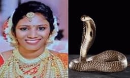 പുലര്‍ച്ചെ രണ്ടു മണിയോടെ സൂരജ് പാമ്പിനെ ഉത്രയുടെ കാലിനരികിലേക്ക് ഇട്ടു ; കരിമൂര്‍ഖന്‍ തിരിഞ്ഞു കൊത്താതിരിക്കാനായി ഉറങ്ങാതെ പുലര്‍ച്ചെ വരെ കാത്തിരുന്നു...!!  