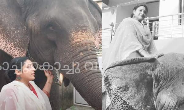 മൂർഖൻ കുഞ്ഞൊക്കെ എന്ത്, പ്രവീണ ആനപ്പുറത്ത്; വിഡിയോ