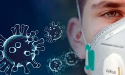 കൊറോണ വൈറസ് മൃഗങ്ങളില്‍നിന്ന് മനുഷ്യരിലേക്ക് എങ്ങനെയെത്തി? വിശദീകരണവുമായി പുതിയ പഠനം