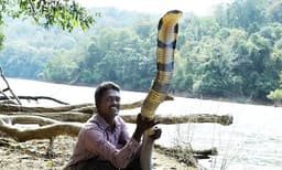 വാവാ സുരേഷിനുപോലും പാമ്പുപിടിക്കാന്‍ നിയമമില്ല, ഉത്രയുടെ കൊലപാതകത്തിന്റെ പശ്ചാത്തലത്തില്‍ പാമ്പുപിടിത്തക്കാര്‍ക്ക്‌ പ്രോട്ടോക്കോള്‍ വരുന്നു