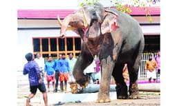 മൂന്നു വര്‍ഷത്തിനിടെ മരണം പെരുകി, 2017-18ല്‍ ചരിഞ്ഞത് 275 ആനകള്‍ ; ഉള്ളിലൊരു പ്രാണന്‍ പേറി, അവള്‍ രണ്ടാഴ്ച പട്ടിണിയില്‍; സ്‌ഫോടന ​െകണിയില്‍ പെട്ട കാട്ടാന ചെരിഞ്ഞത് ശ്വാസകോശത്തില്‍ വെള്ളം കയറി 