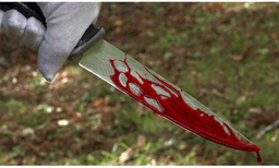 Honour killing attempt in Muvattupuzha : One arrested.