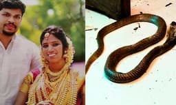 ഉത്രയ്ക്ക് അണലിയുടെ കടിയേറ്റത് കാല്‍മുട്ടിന് മുകളില്‍; അന്നേ അസ്വാഭാവികത തോന്നിയിരുന്നെന്ന് ഡോക്ടര്‍