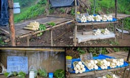 വില്‍പനയ്ക്ക് സാധനങ്ങള്‍ നിരത്തി അനാഥമായ കടകള്‍, കൂടെ പണപ്പെട്ടിയും : കള്ളവും ചതിയുമില്ലാത്ത ഇന്ത്യയിലെ ഒരു നാട്!