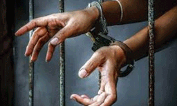 ഹരിപ്പാട്ട് 12കാരി ആത്മഹത്യ ചെയ്ത സംഭവം; അമ്മയെ റിമാന്‍ഡ് ചെയ്തു