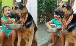 നന്നായി കഴിച്ചോ , പ്രിയപ്പെട്ട നായ്ക്ക് ഭക്ഷണം വാരിനൽകി കുട്ടിക്കുറുമ്പി ; യഥാർത്ഥ സ്നേഹമെന്ന് സൈബർ ലോകം