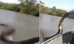 17 അടി നീളമുളള അനക്കോണ്ടയുടെ വാലില്‍ പിടിച്ചുവലിക്കുന്ന ബോട്ടു യാത്രികന്‍; പിന്നീട് സംഭവിച്ചത്; നടുക്കുന്ന വീഡിയോ