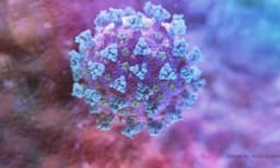 കോഴിക്കോട്ട് കൊവിഡ് ഭേദമായതിന് പിന്നാലെ യുവാവ് മരിച്ചു