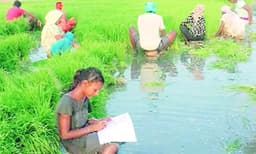 പഞ്ചാബിലെ ഓണ്‍ലൈന്‍ പഠനം: എട്ടാം ക്‌ളാസ്സുകാരി പരീക്ഷ എഴുതുന്നത് വീട്ടുകാരുടെ നെല്‍പ്പാടത്ത് ഇരുന്ന് ; 13 കാരന്‍ പയ്യന്‍ എഴുതുന്നത് പലചരക്ക് കടയലിരുന്ന്