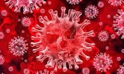 കൊല്ലത്ത് ചവറ പന്മന പഞ്ചായത്തുകളില്‍ ട്രിപ്പിള്‍ ലോക്ക് ഡൗണ്‍ ; 32 പഞ്ചായത്തുകള്‍ കണ്ടെയ്ന്‍മെന്റ് സോണുകള്‍