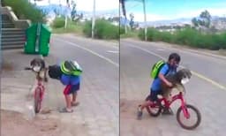 സ്വയം മാസ്ക് ധരിച്ചു, പിന്നെ നായയെ ധരിപ്പിച്ചു; ഏറ്റെടുത്ത് സോഷ്യൽ മീഡിയ- വിഡിയോ 