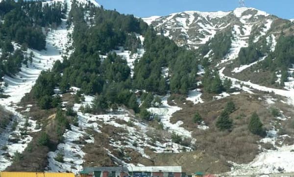 ആർട്ടിക്കിൾ 370 റദ്ദാക്കിയ ശേഷം ജമ്മു കാശ്മീരിൽ തീവ്രവാദം കുറഞ്ഞു ; പോലീസ്