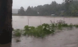 ഒഴുക്കും വെള്ളക്കെട്ടും; രക്ഷാപ്രവര്‍ത്തനത്തിനെത്തിയ എന്‍ഡിആര്‍എഫ് സംഘം കുടുങ്ങി
