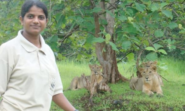 സിംഹകുഞ്ഞുങ്ങളെ കൈകളിലെടുത്ത് താലോലിക്കും! ഗിർ വനത്തിലെ 'സിംഹ രാജ്ഞിമാർ'