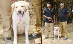 സൂപ്പര്‍ ഹീറോയിന്‍ ‘ഹണി’ സഹായിച്ചു; തിരുവാഭരണങ്ങള്‍ കവര്‍ന്നയാളെ പോലീസ് കുടുക്കി ; പ്രതി ക്ഷേത്രം മുന്‍ മേല്‍ശാന്തി