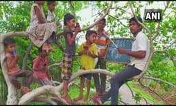 നെറ്റ്‌വര്‍ക്ക് മോശം, ഓണ്‍ലൈന്‍ ക്ലാസിനായി കുട്ടികളുമായി മരത്തിനു മുകളില്‍ കയറി ക്ലാസെടുക്കുന്ന യുവാവ്.. ചിത്രം വൈറല്‍