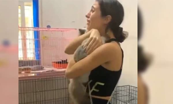 സ്ഫോടനത്തോടെ ​നഷ്ടപ്പെട്ടെന്നു കരുതിയ ഓമനമൃ​ഗം തിരി​കെയെത്തിയപ്പോൾ ; വൈറലായി യുവതിയുടെ വീഡിയോ