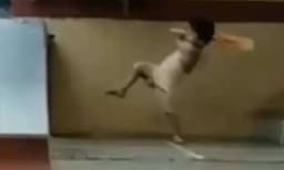 തന്റെ നേരെവരുന്ന ഓരോ പന്തും ദൂരേക്ക് അടിച്ചുപറത്തി കുരുന്ന് ; ജൂനിയര്‍ ക്രിസ് ഗെയ്‌ലെന്ന് ആരാധകര്‍ : വീഡിയോ