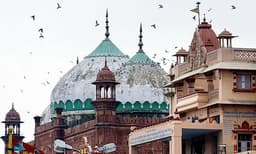 രാമജന്മഭൂമിക്ക് പിന്നാലെ കൃഷ്ണ ജന്മഭൂമി തര്‍ക്കവും ; മഥുരയിലെ മസ്ജിദ് ഇരിക്കുന്ന 13 ഏക്കര്‍ ഭൂമിക്കുവേണ്ടിയും കോടതിയില്‍ ഹര്‍ജി