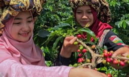 ലോകത്തിലെ ഏറ്റവും രുചികരമായ ഈ കോഫിയുടെ രഹസ്യം എന്താണെന്നോ...?