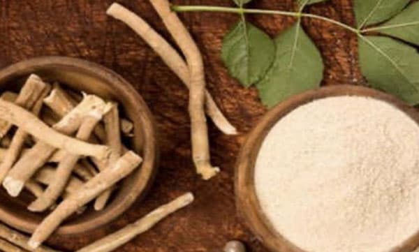 കൊവിഡ് വൈറസിനെ തുരത്താന്‍ ആടലോടകവും ചിറ്റമൃതും; പരീക്ഷണങ്ങള്‍ക്ക് അനുമതി